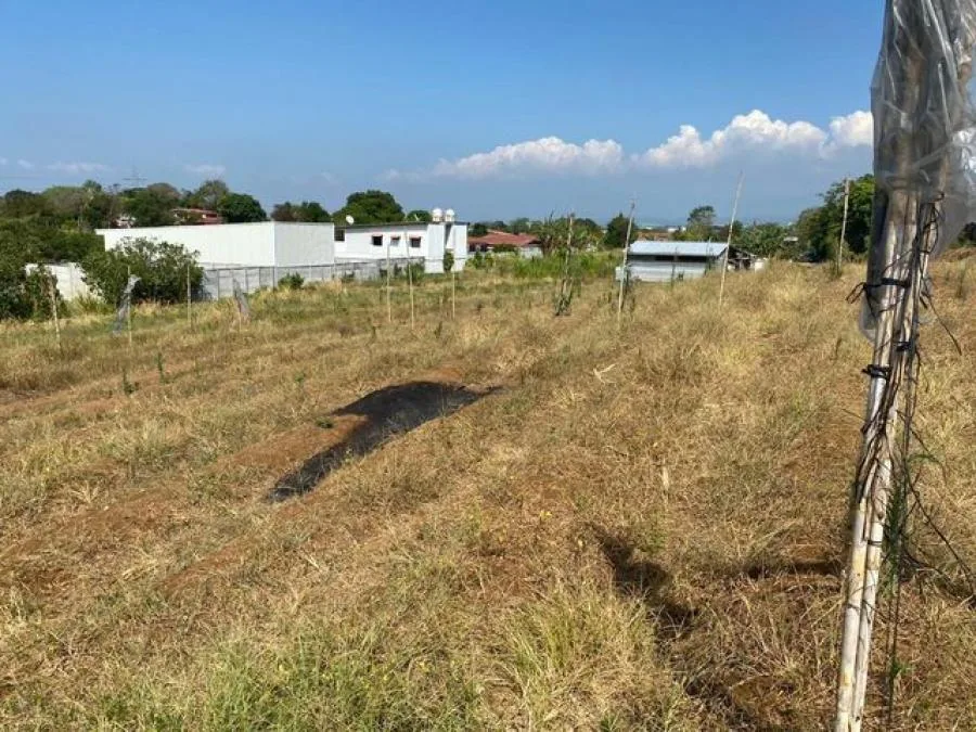 Se Vende super terreno  para desarrollar negocio residencial agricola industrial alajuela 26-389 - Venta en Guácima