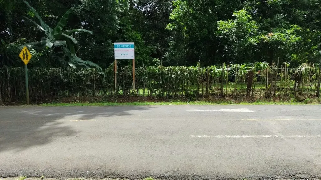 Flat topography, ideal for living in an extremely quiet area and surrounded by a lot of nature., photo 12