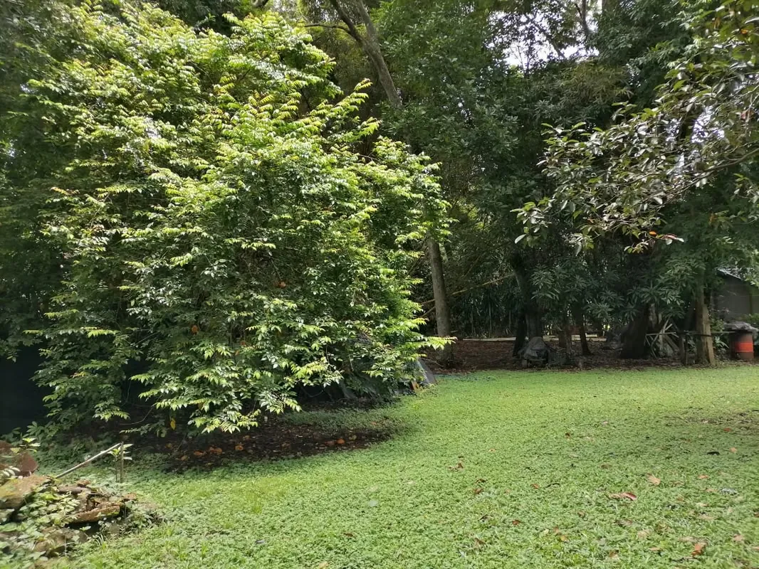 Flat topography, ideal for living in an extremely quiet area and surrounded by a lot of nature., photo 3