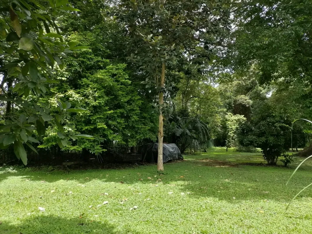 Flat topography, ideal for living in an extremely quiet area and surrounded by a lot of nature., photo 5