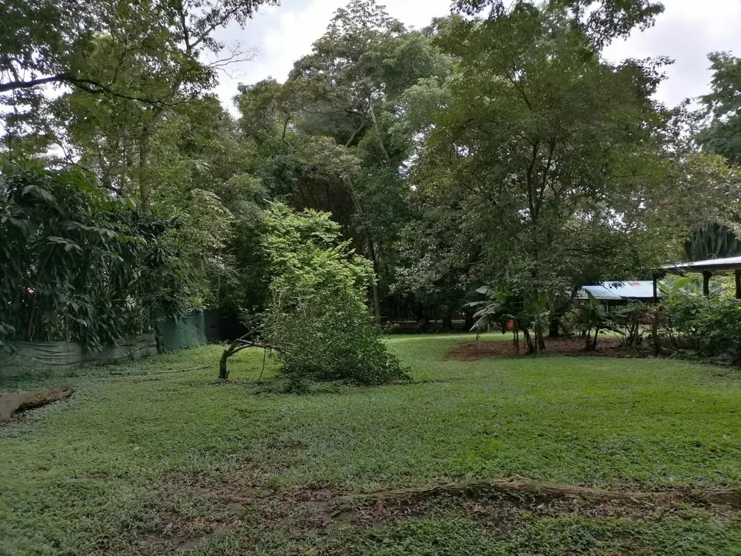 Flat topography, ideal for living in an extremely quiet area and surrounded by a lot of nature., photo 6