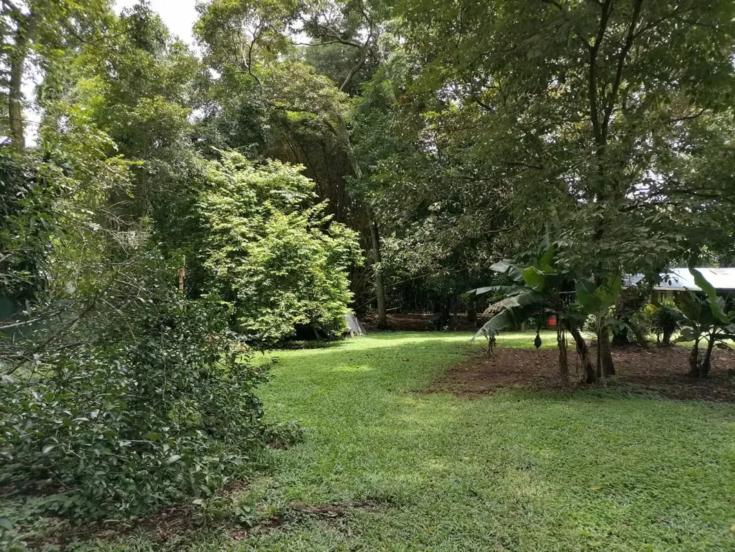 Flat topography, ideal for living in an extremely quiet area and surrounded by a lot of nature., photo 8