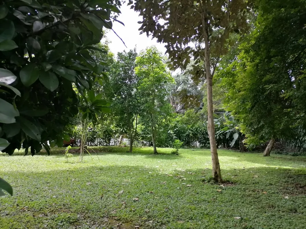 Flat topography, ideal for living in an extremely quiet area and surrounded by a lot of nature., photo 9
