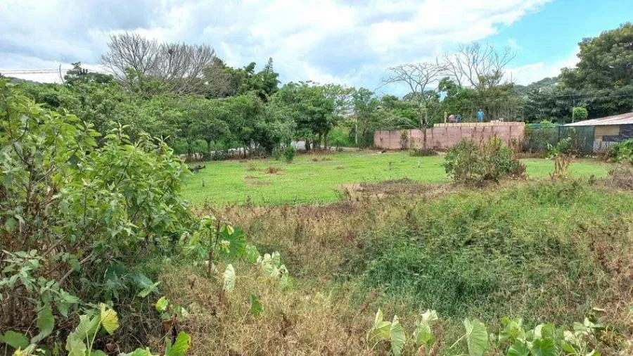LOTE CON VISTAS 360° EN VENTA SAN RAMÓN SUR PÉREZ ZELEDÓN – LISTO PARA CONSTRUIR - Venta en Perez Zeledón, photo 6