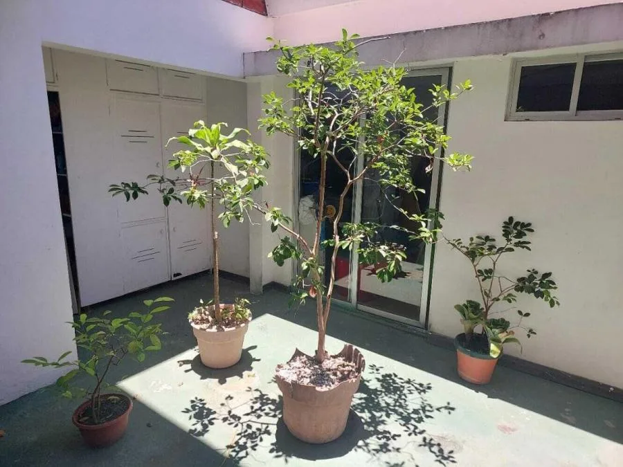 Casa amplia de 5 habitaciones con uso comercial y gran potencial #26-1668 GS - Venta en Goicoechea, photo 10