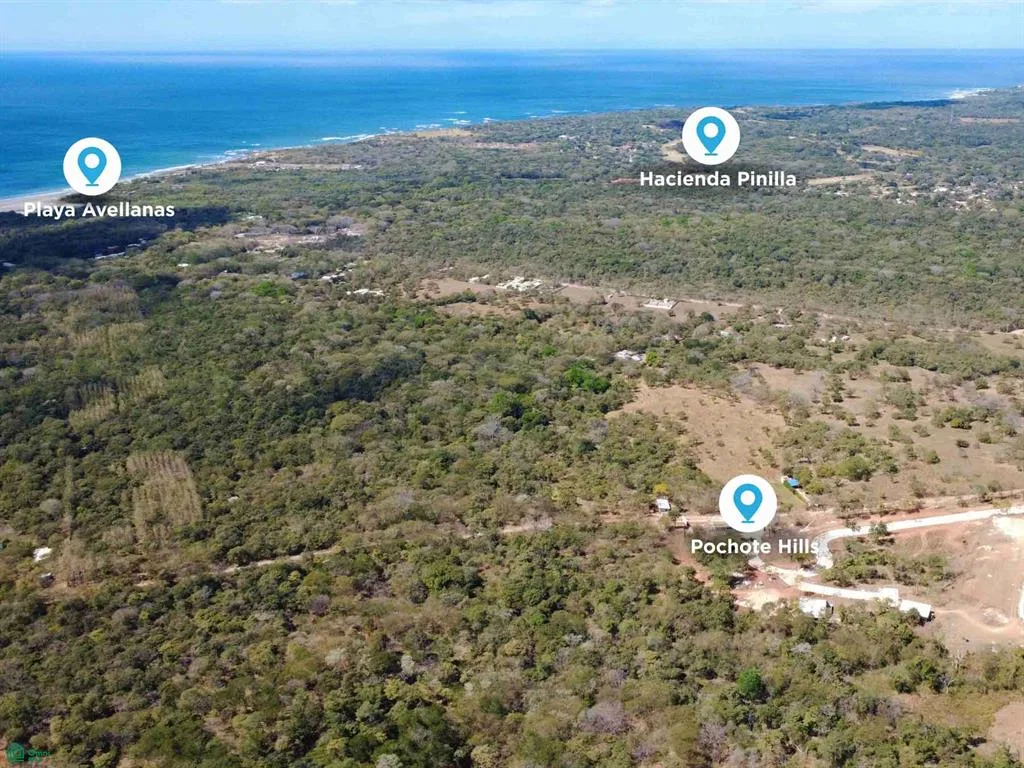 Lote 2 | Pochote Hills Playa Avellanas
