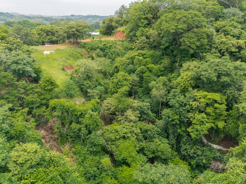 Land For Sale in Nosara, photo 8