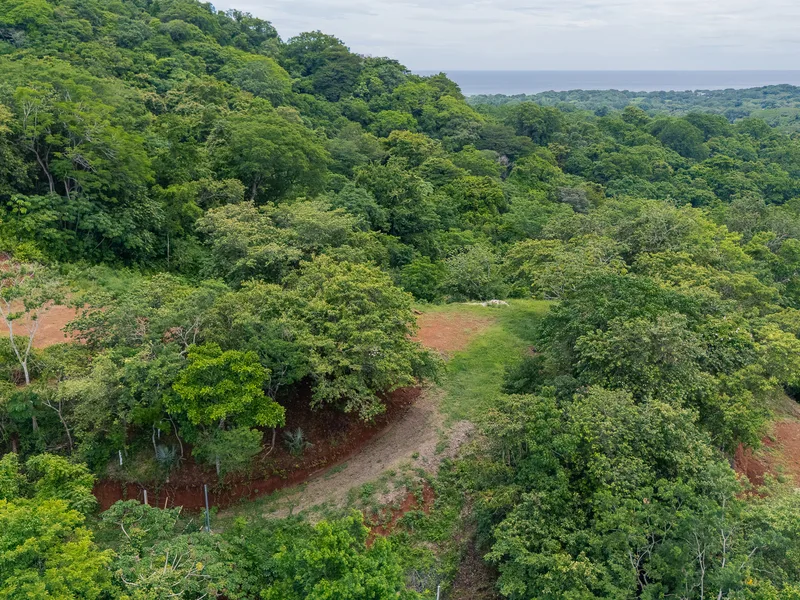 Land For Sale in Nosara, photo 9