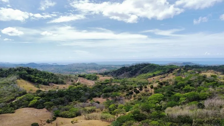 37-Hectare Ocean View Development Property Near Sámara, Buena Vista & Barrigona