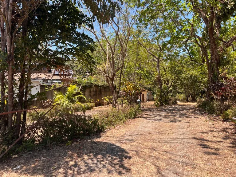 Home Construction Site in Playa Carrillo
