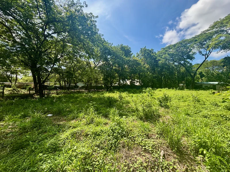 Land For Sale in Nosara