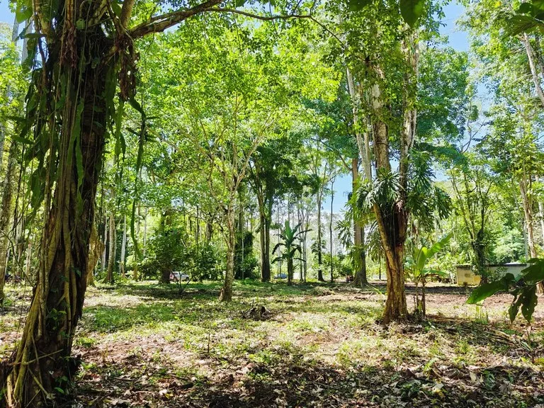 ID 836: Lot 3 - 5210 sqm - New Development on Old Yard Road, Cahuita - 300 Meters to the Beach, photo 4