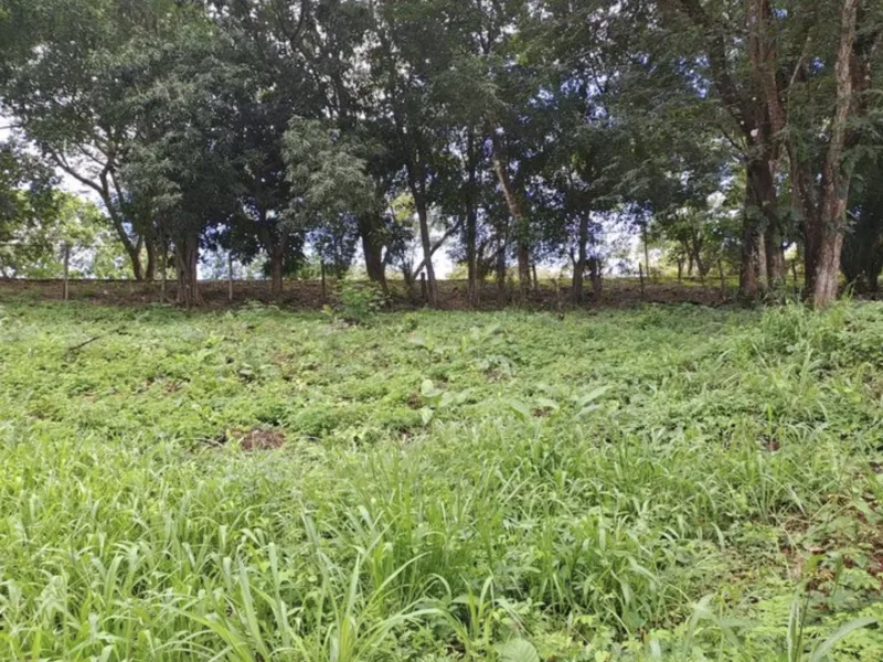 Land For Sale in Playa Carrillo