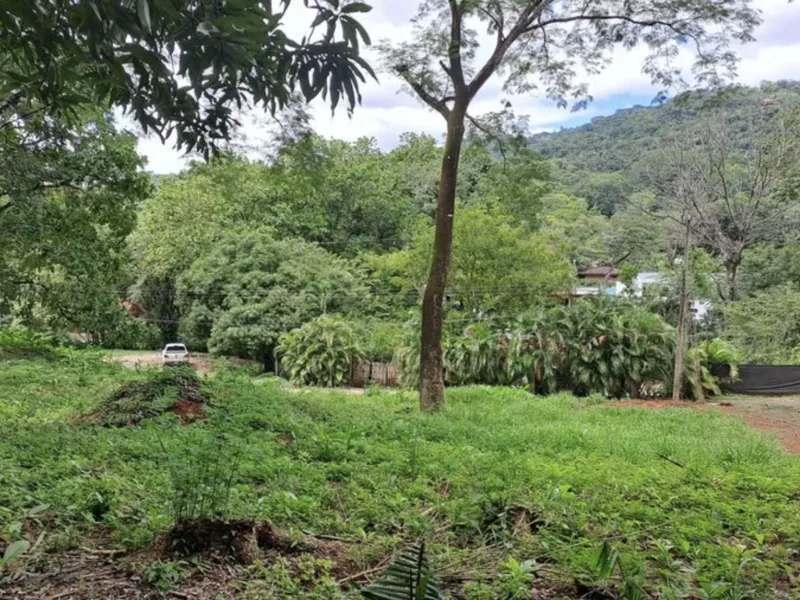 Land For Sale in Playa Carrillo, photo 2