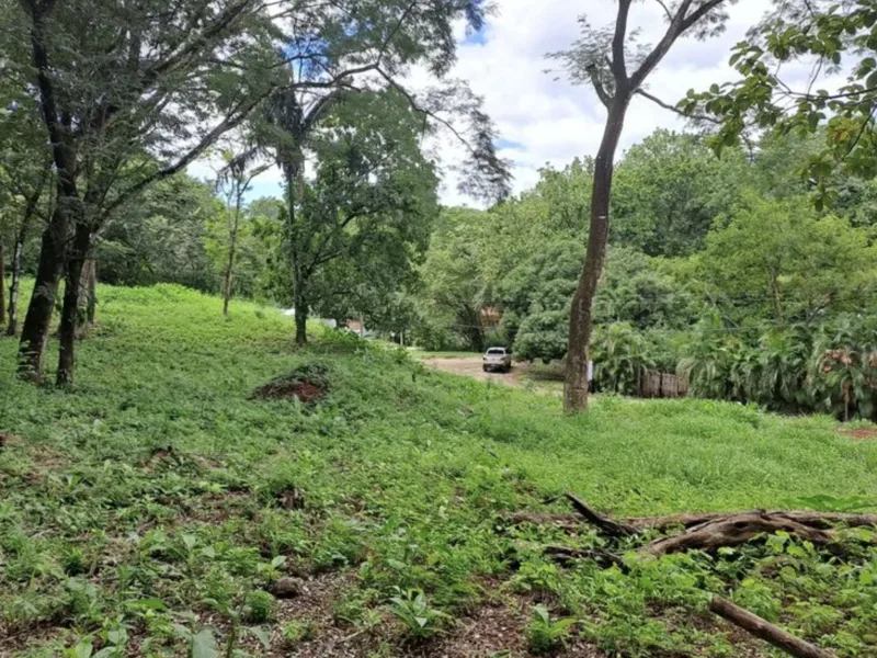 Land For Sale in Playa Carrillo, photo 3