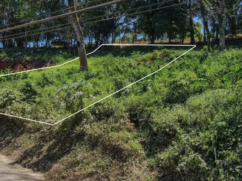 Land For Sale in Playa Carrillo, photo 4