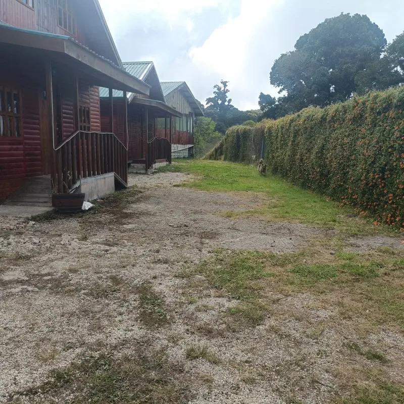 Tourist Property over Inter-American: 2 Cabins + Field Rancho 380 m ² - 124; Fresh Climate, photo 2