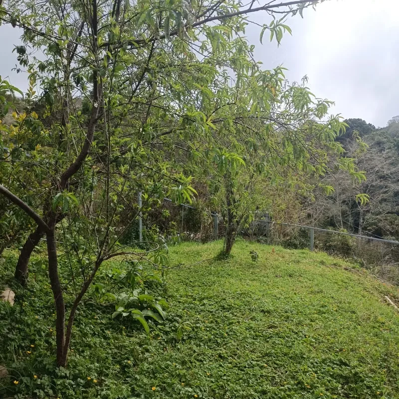 Tourist Property over Inter-American: 2 Cabins + Field Rancho 380 m ² - 124; Fresh Climate, photo 5