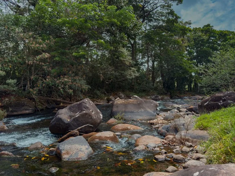 Finca Abuelo: Riverfront, Mountain and Countryside Agricultural Land For Sale in Aguas Claras, photo 3