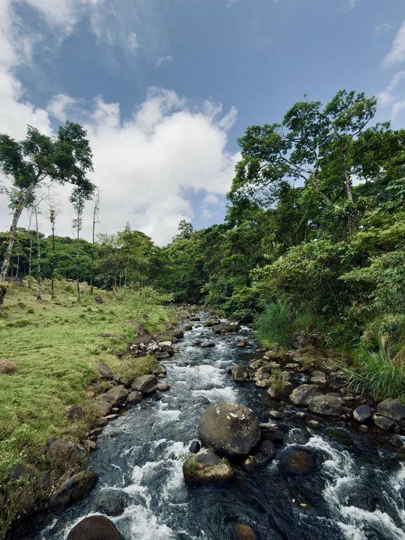 Finca Abuelo: Riverfront, Mountain and Countryside Agricultural Land For Sale in Aguas Claras, photo 4