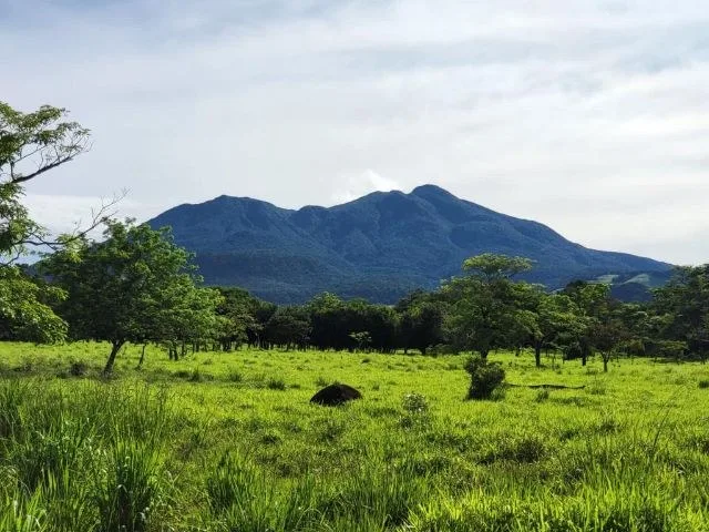 Agricultural Land in Tierras Morenas, photo 12