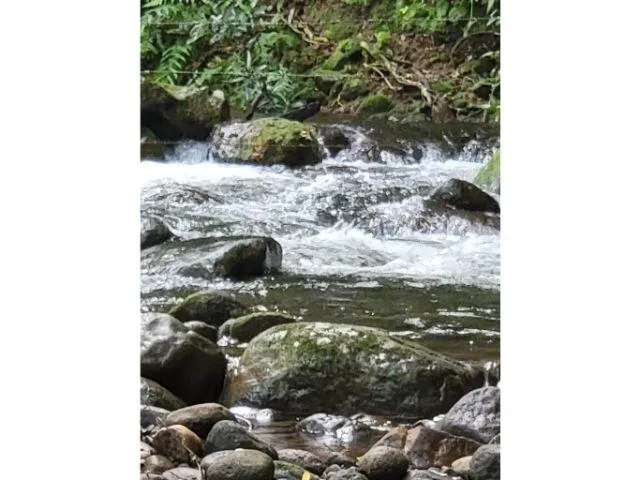 Agricultural Land in Tierras Morenas, photo 14