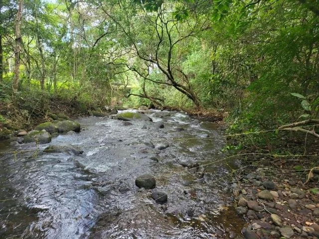 Agricultural Land in Tierras Morenas, photo 15