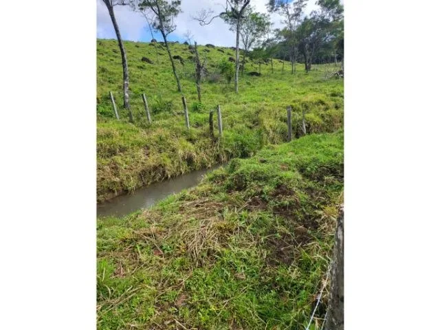 Agricultural Land in Tierras Morenas, photo 3