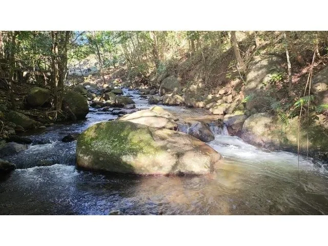 Agricultural Land in Tierras Morenas, photo 7