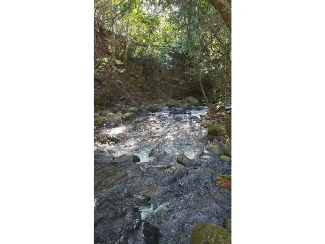 Agricultural Land in Tierras Morenas, photo 8