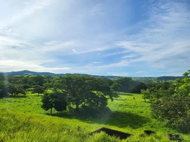 Agricultural Land in Tierras Morenas, photo 10