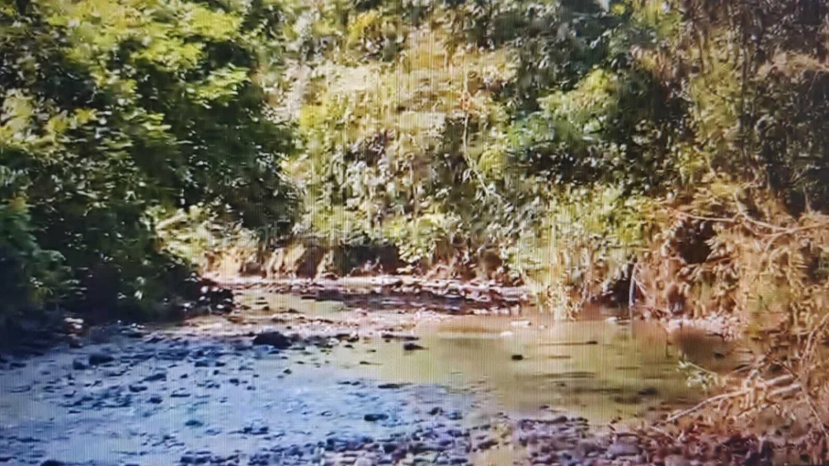Venta | Finca con río, catarata y enorme potencial turístico en San Carlos #26-2253 GS - Venta en San Carlos