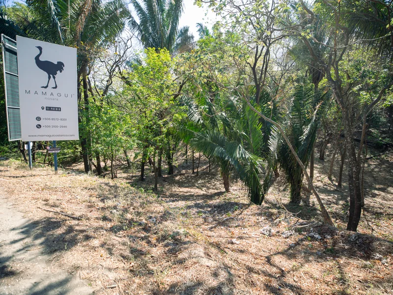 Land For Sale in Nosara, photo 2