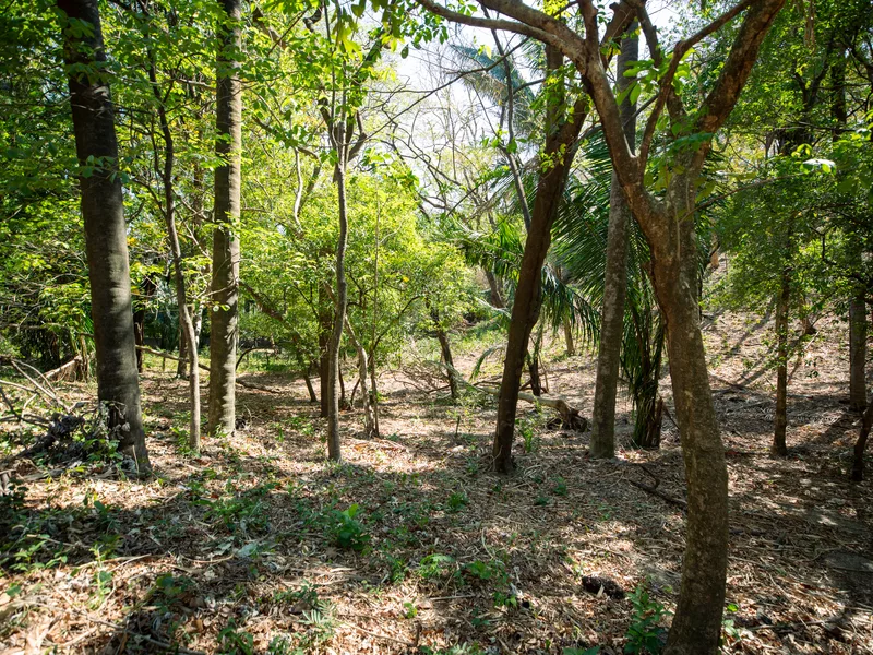 Land For Sale in Nosara, photo 11