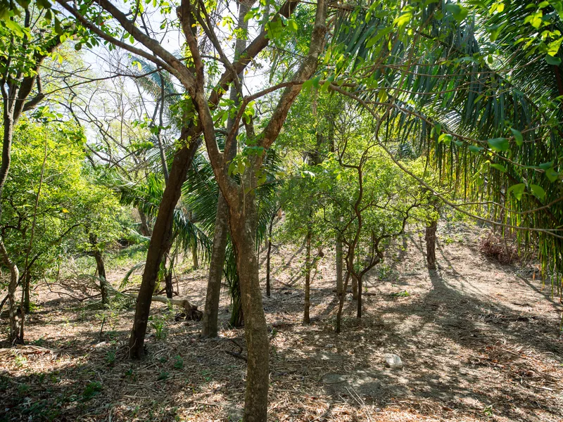 Land For Sale in Nosara, photo 12