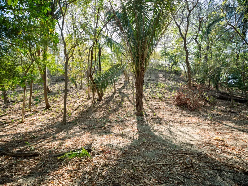 Land For Sale in Nosara, photo 14