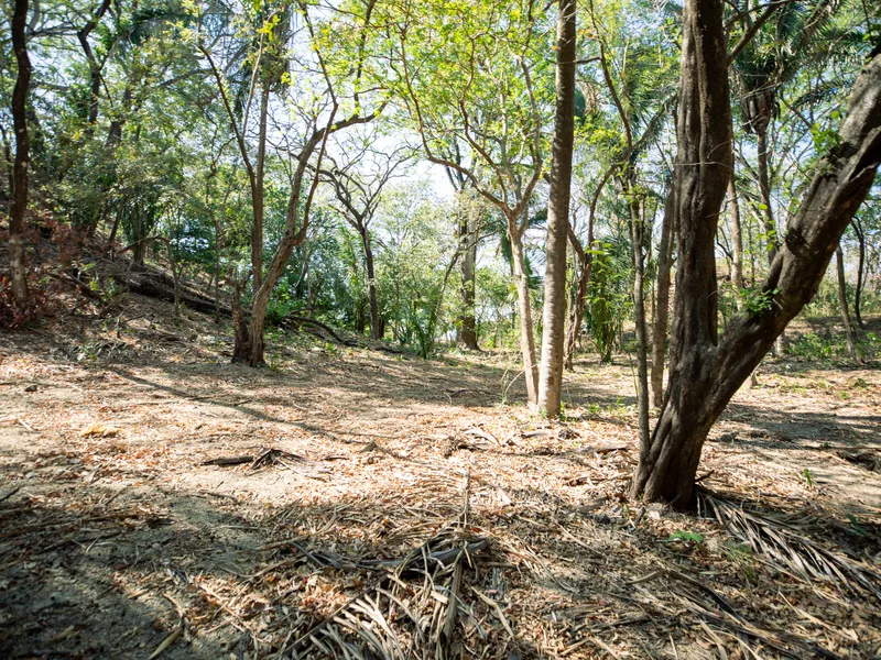 Land For Sale in Nosara, photo 15