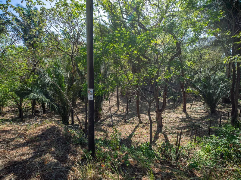 Land For Sale in Nosara, photo 3