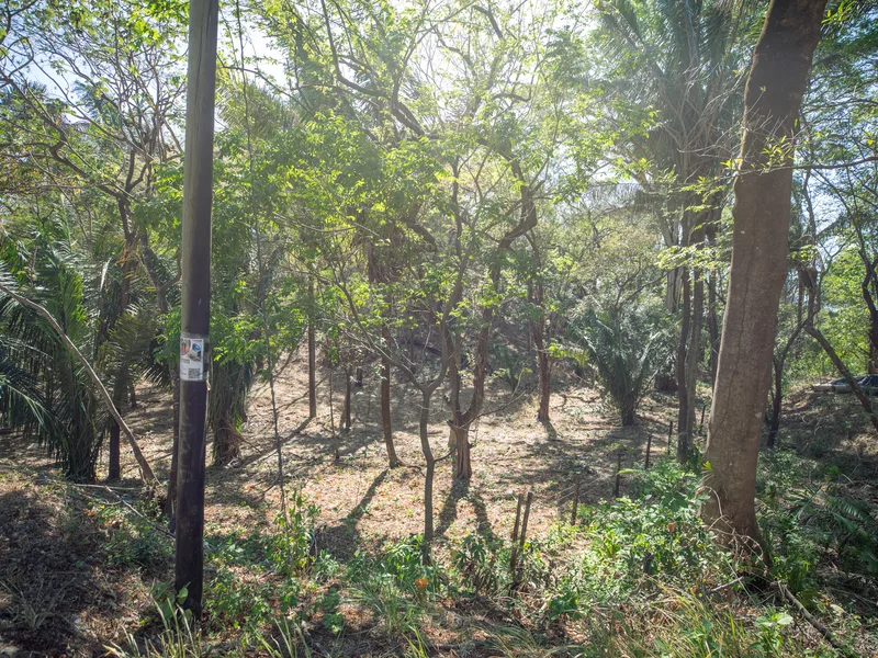 Land For Sale in Nosara, photo 4