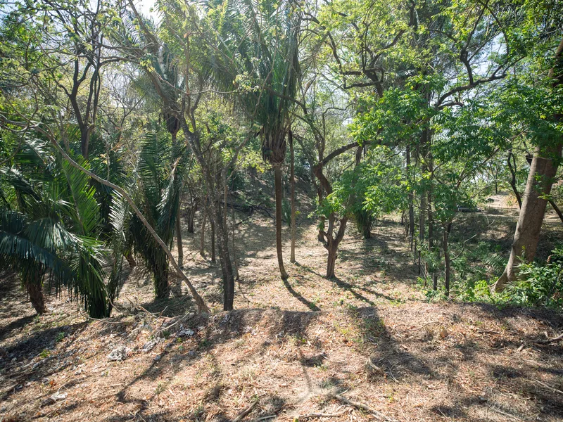 Land For Sale in Nosara, photo 5