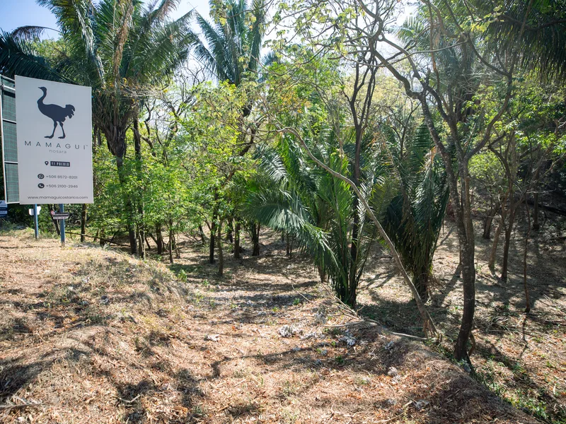 Land For Sale in Nosara, photo 6