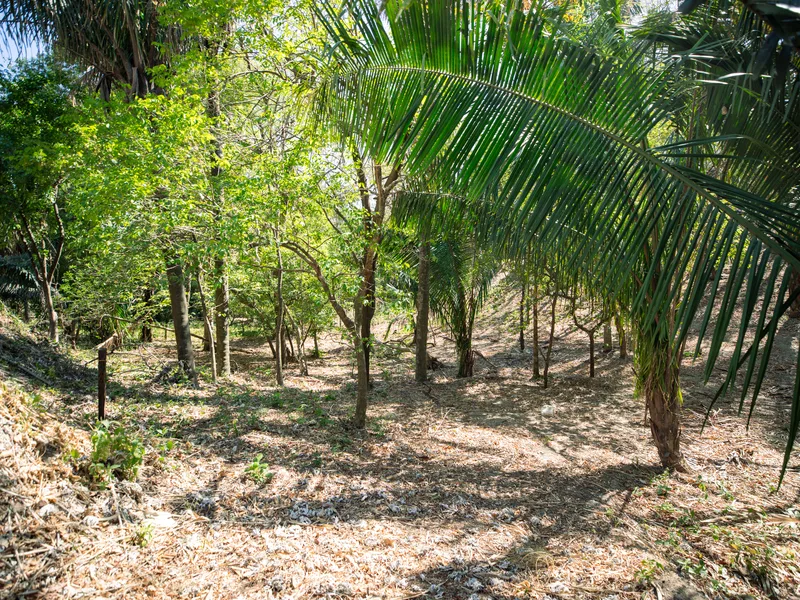 Land For Sale in Nosara, photo 7