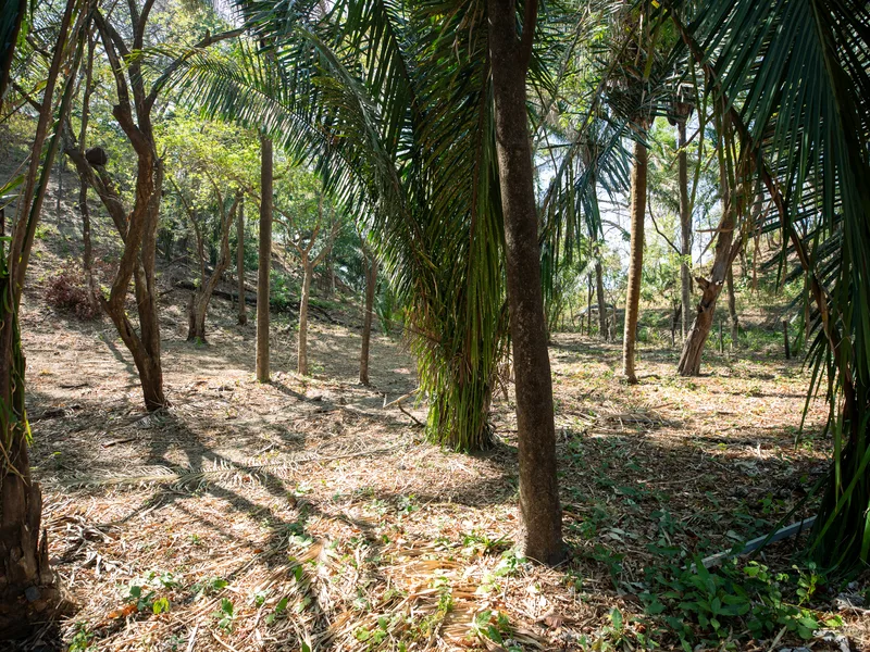 Land For Sale in Nosara, photo 9