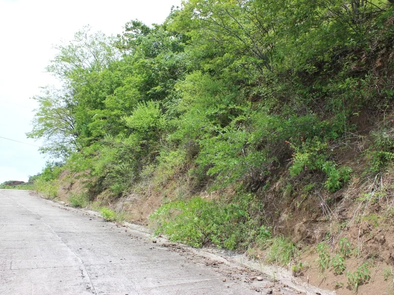 Land For Sale in Playas Del Coco, photo 4