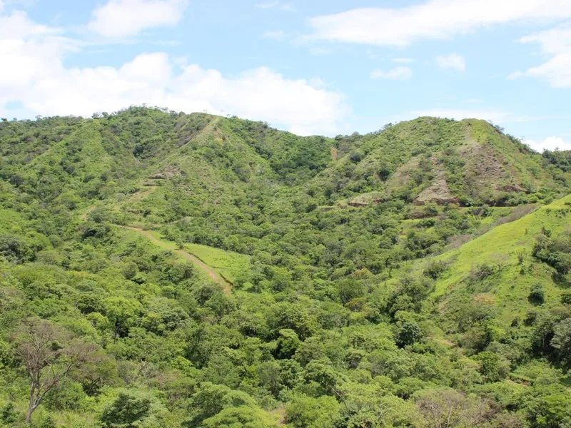 Land For Sale in Playas Del Coco, photo 8