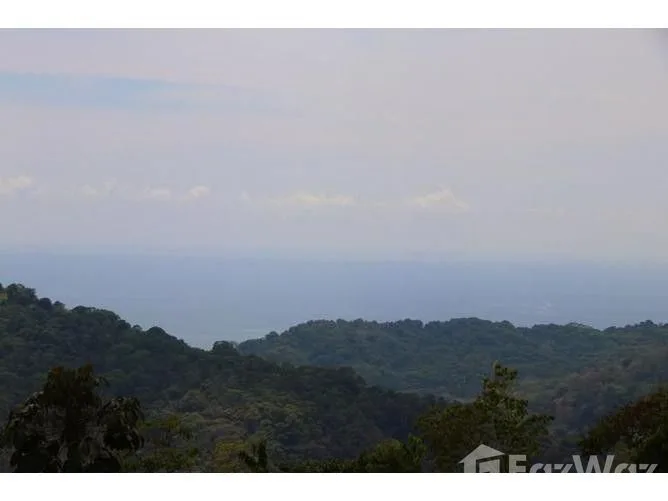 Land for Sale in Perez Zeledon, San Jose for $122,000, photo 3