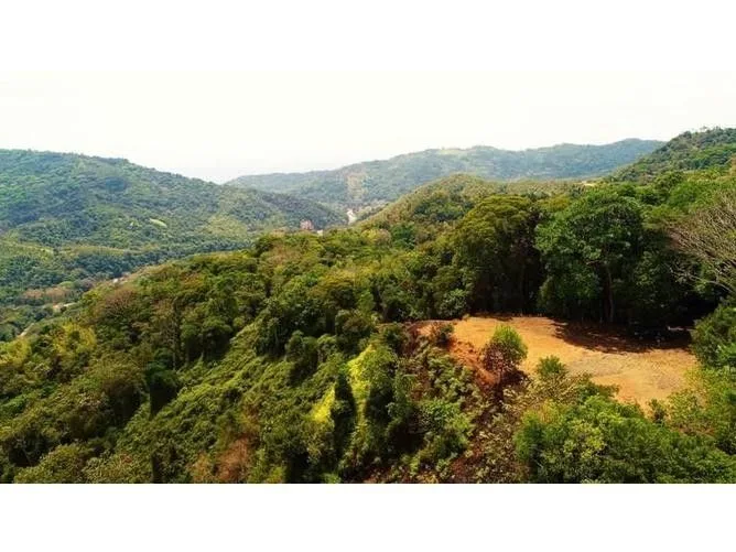 Land for Sale in Perez Zeledon, San Jose for $122,000, photo 6