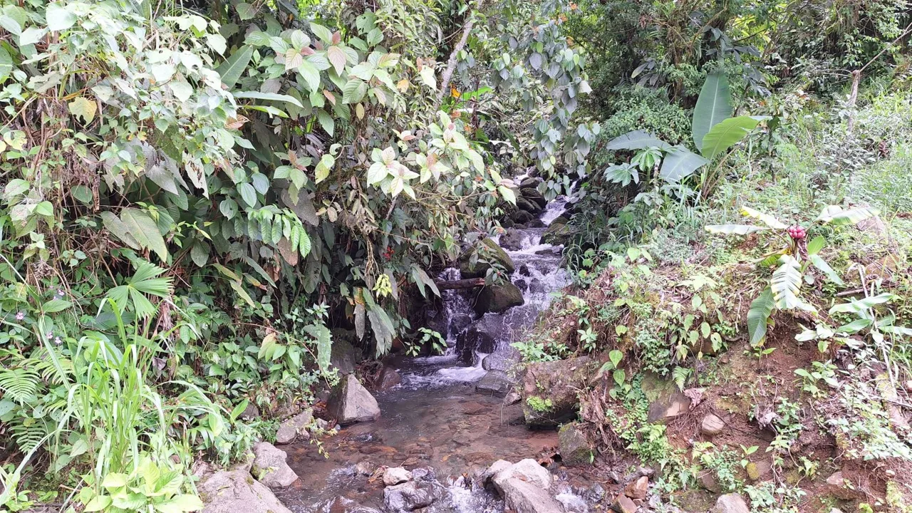 Unique 2,819 M² Lot for sale With Beautiful Cabin And Stunning River In Pérez Zeledón., photo 14