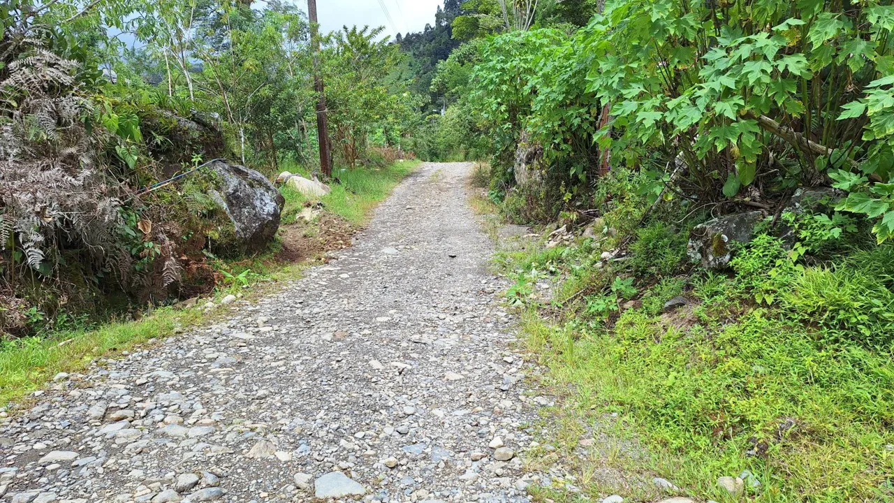 Unique 2,819 M² Lot for sale With Beautiful Cabin And Stunning River In Pérez Zeledón., photo 8