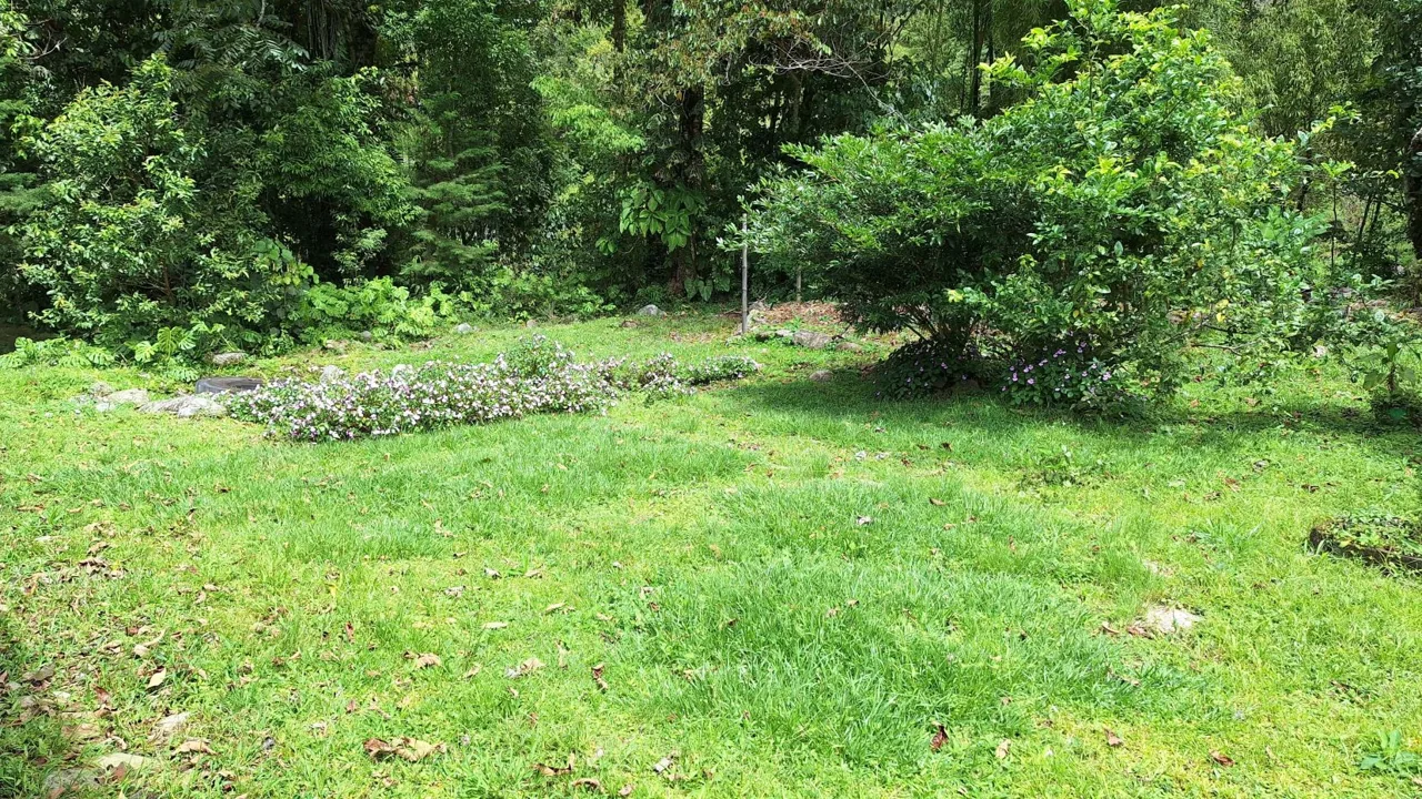 Unique 2,819 M² Lot for sale With Beautiful Cabin And Stunning River In Pérez Zeledón., photo 10